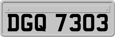 DGQ7303