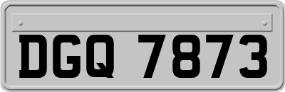 DGQ7873