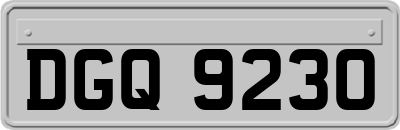 DGQ9230