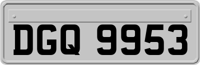 DGQ9953