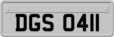 DGS0411