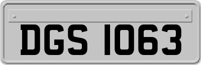 DGS1063