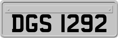 DGS1292