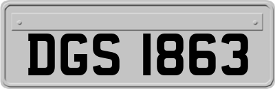 DGS1863