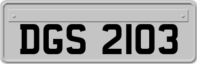 DGS2103
