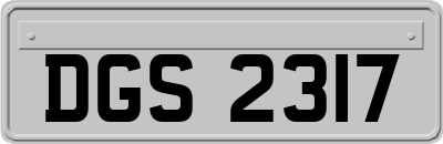 DGS2317