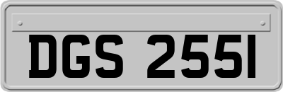 DGS2551