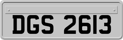 DGS2613