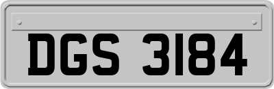 DGS3184