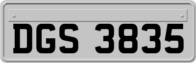 DGS3835