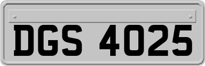 DGS4025