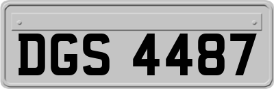 DGS4487