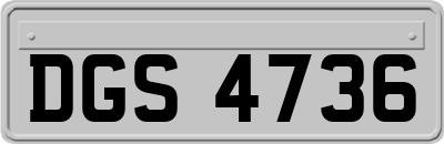 DGS4736