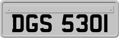 DGS5301