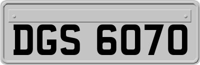 DGS6070