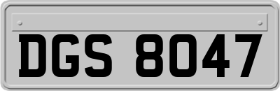 DGS8047