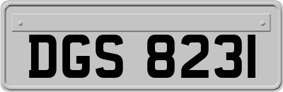 DGS8231