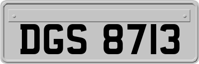 DGS8713