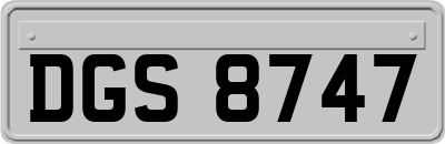 DGS8747