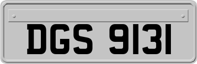DGS9131