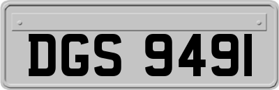 DGS9491