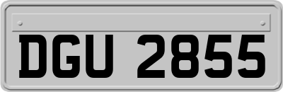 DGU2855