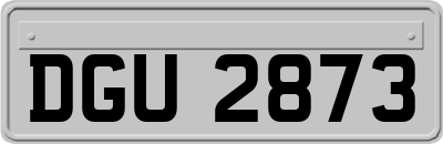 DGU2873
