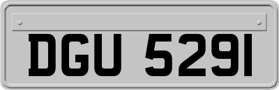 DGU5291