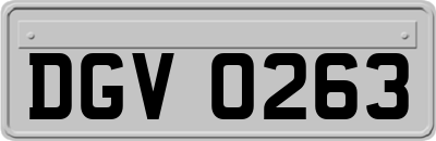 DGV0263