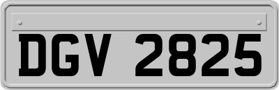 DGV2825