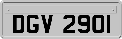 DGV2901