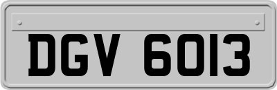 DGV6013