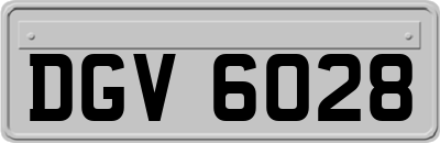DGV6028