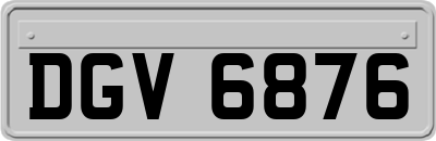DGV6876