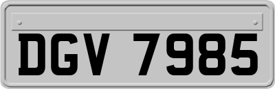 DGV7985