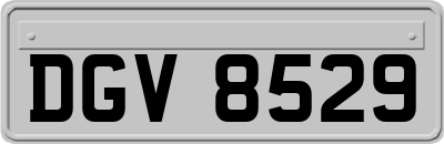 DGV8529
