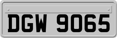 DGW9065