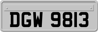 DGW9813