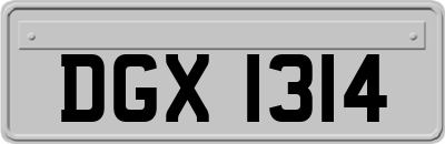 DGX1314
