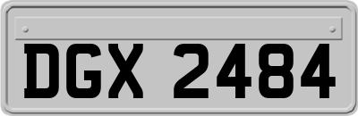DGX2484