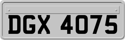 DGX4075