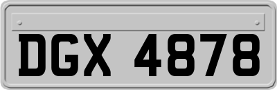 DGX4878
