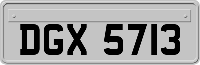 DGX5713