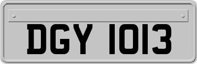 DGY1013