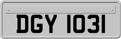 DGY1031