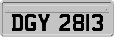 DGY2813