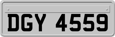 DGY4559