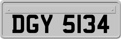 DGY5134