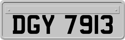 DGY7913