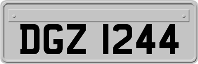 DGZ1244